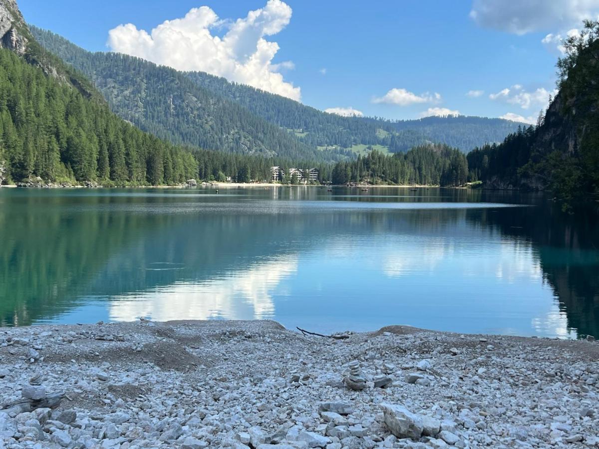 Hotel Palazzo Cervesato: Camera Regina Margherita Santo Stefano Di Cadore Esterno foto